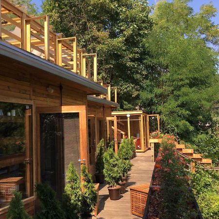 Skay Loft Bed and Breakfast Braşov Exteriör bild