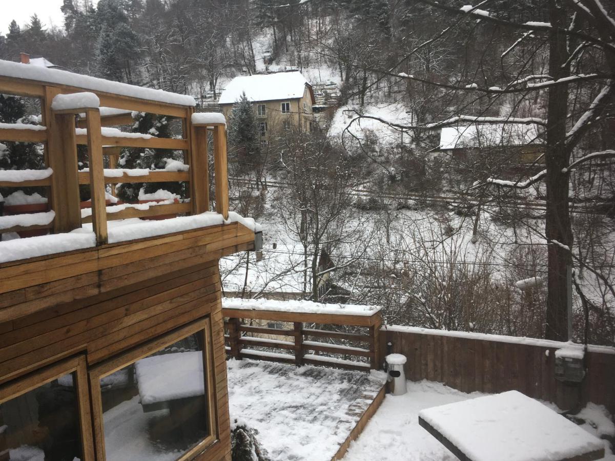 Skay Loft Bed and Breakfast Braşov Exteriör bild