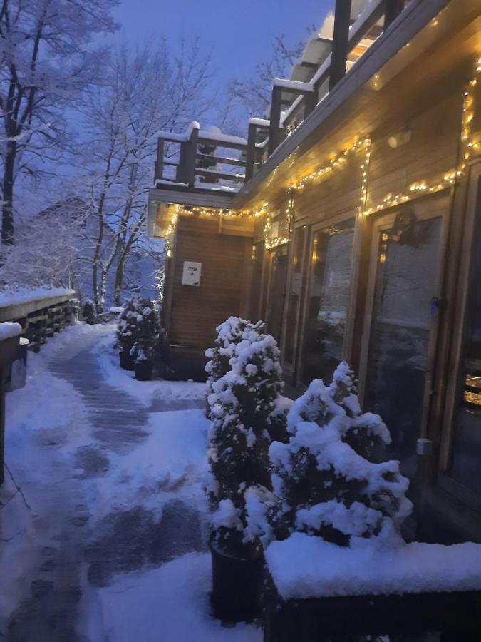 Skay Loft Bed and Breakfast Braşov Exteriör bild