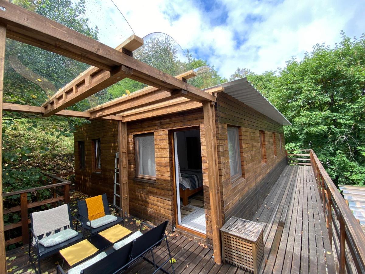 Skay Loft Bed and Breakfast Braşov Exteriör bild