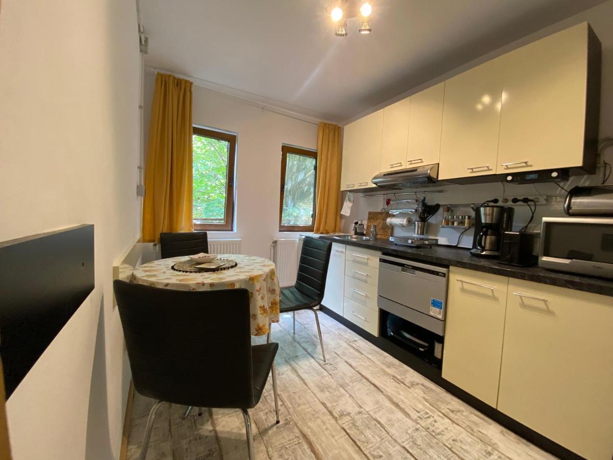 Skay Loft Bed and Breakfast Braşov Exteriör bild