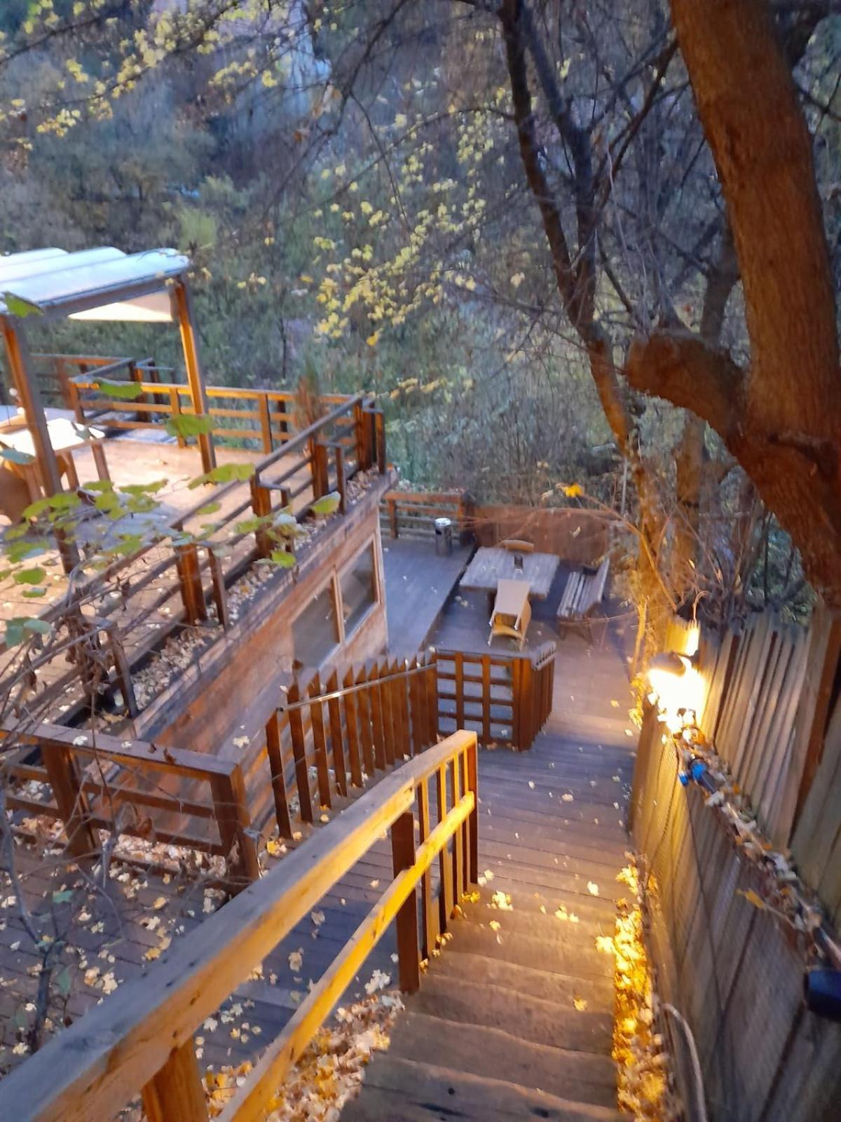 Skay Loft Bed and Breakfast Braşov Exteriör bild