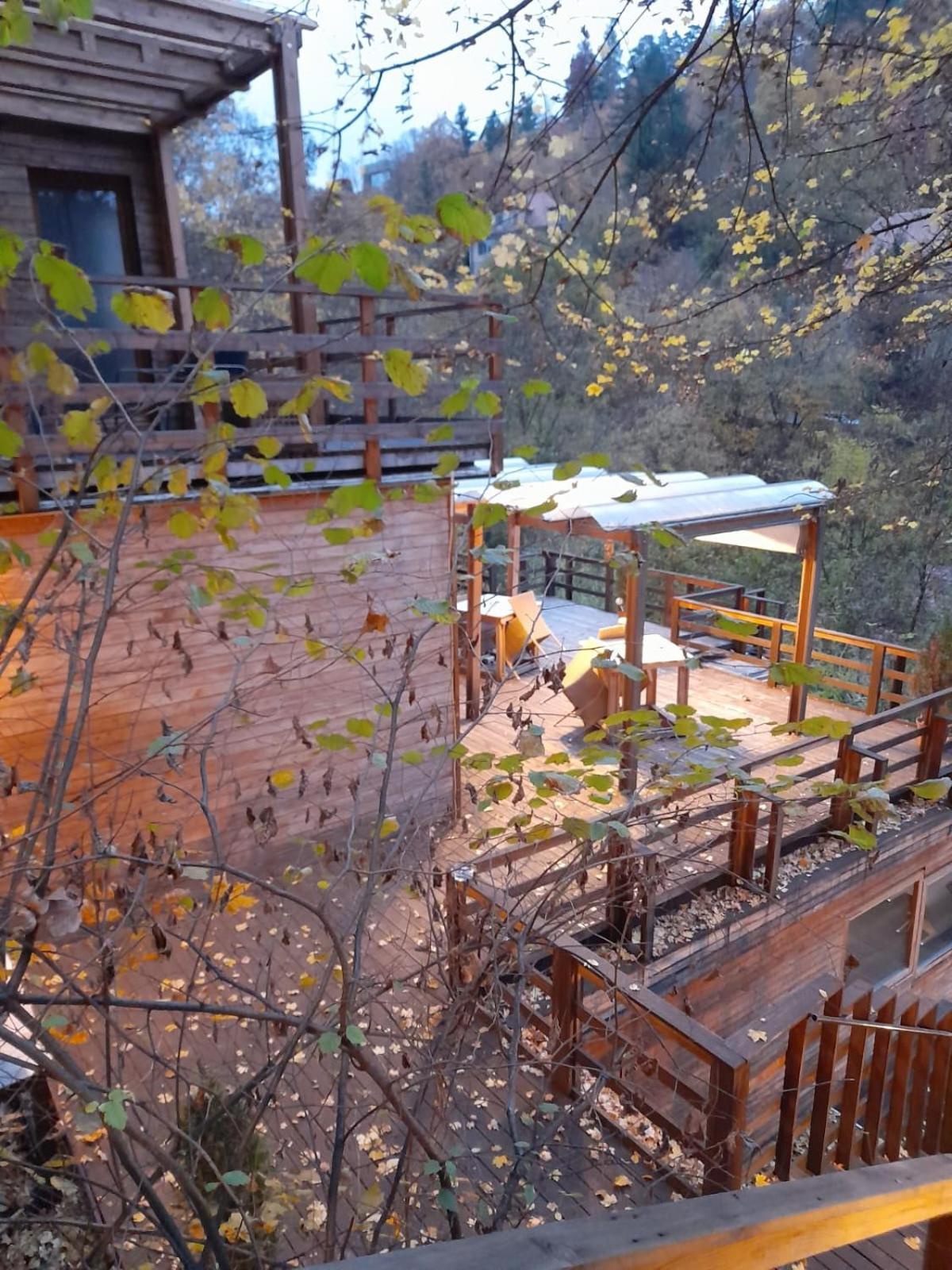 Skay Loft Bed and Breakfast Braşov Exteriör bild