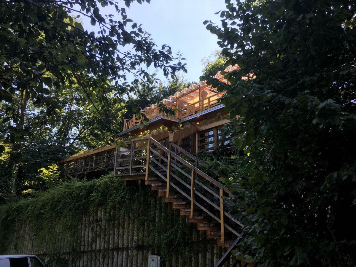 Skay Loft Bed and Breakfast Braşov Exteriör bild