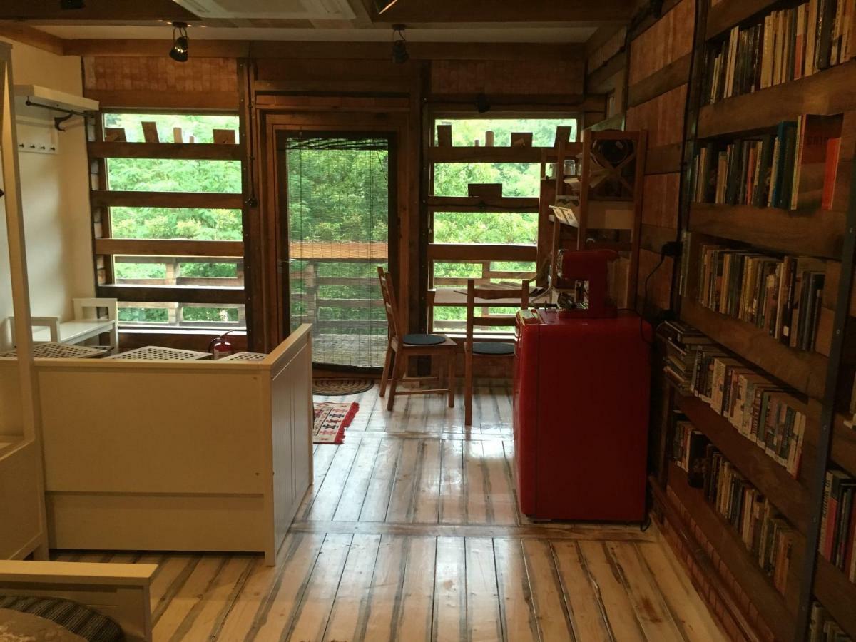 Skay Loft Bed and Breakfast Braşov Exteriör bild